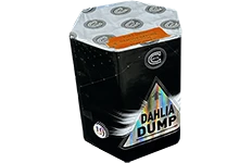 Celtic Fireworks Dahlia Dump