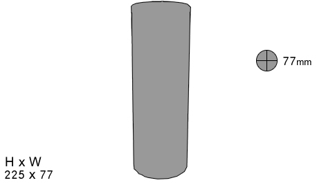 leaping lizards by brothers pyrotechnics