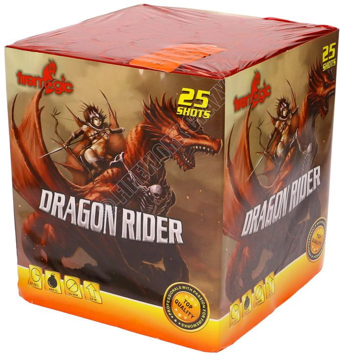 dragon rider by firemagic