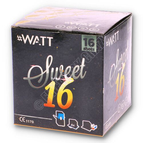 sweet 16 by #watt fireworks