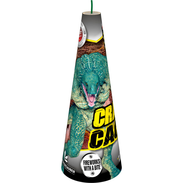 cranky cactus by lesli fireworks