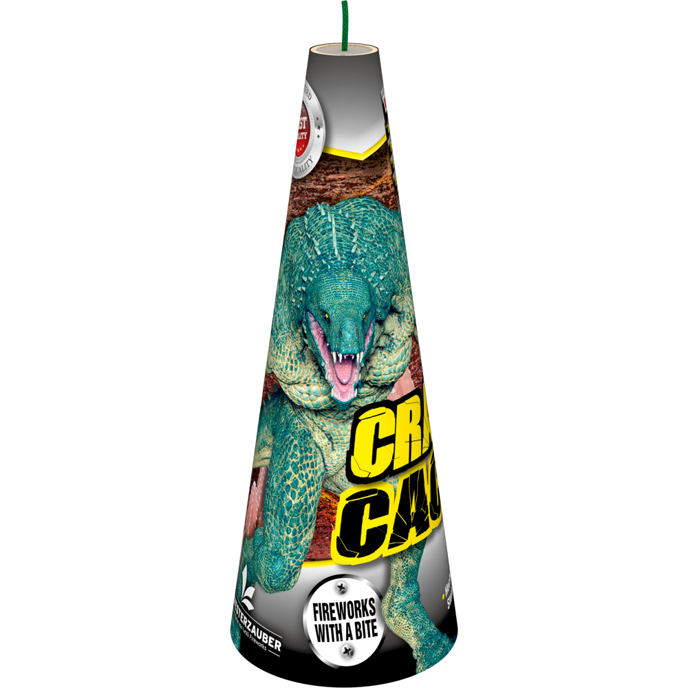 cranky cactus by lesli fireworks