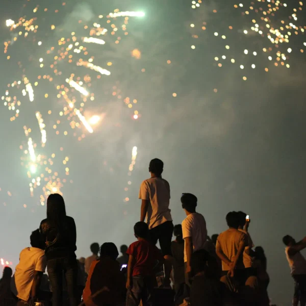 people watching firework display